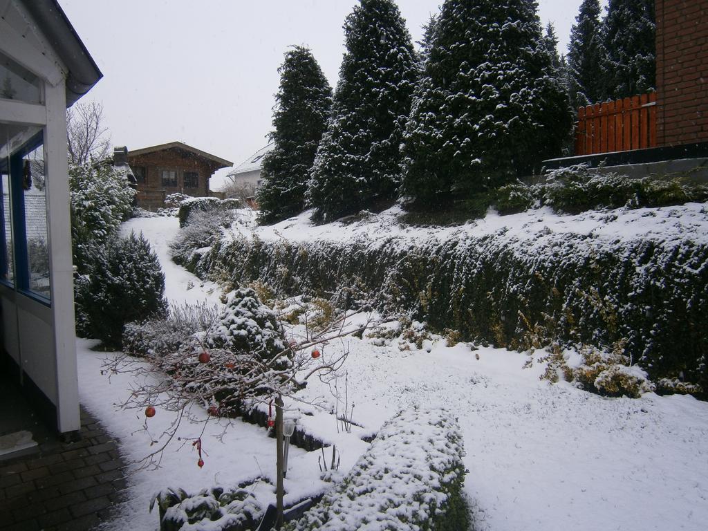 Eifeler Ferienwohnung Nettersheim 部屋 写真